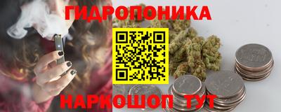 mix Новозыбков