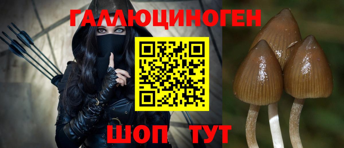 Псилоцибиновые грибы Psilocybine cubensis  Вход с VPN  Сергиев Посад 
